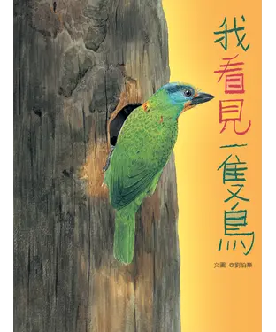 書封 我看見一隻鳥